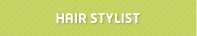 Hair Stylist